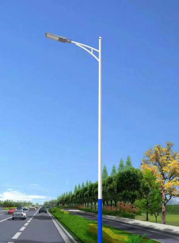 市电路灯LRMSD006(路而美光电)