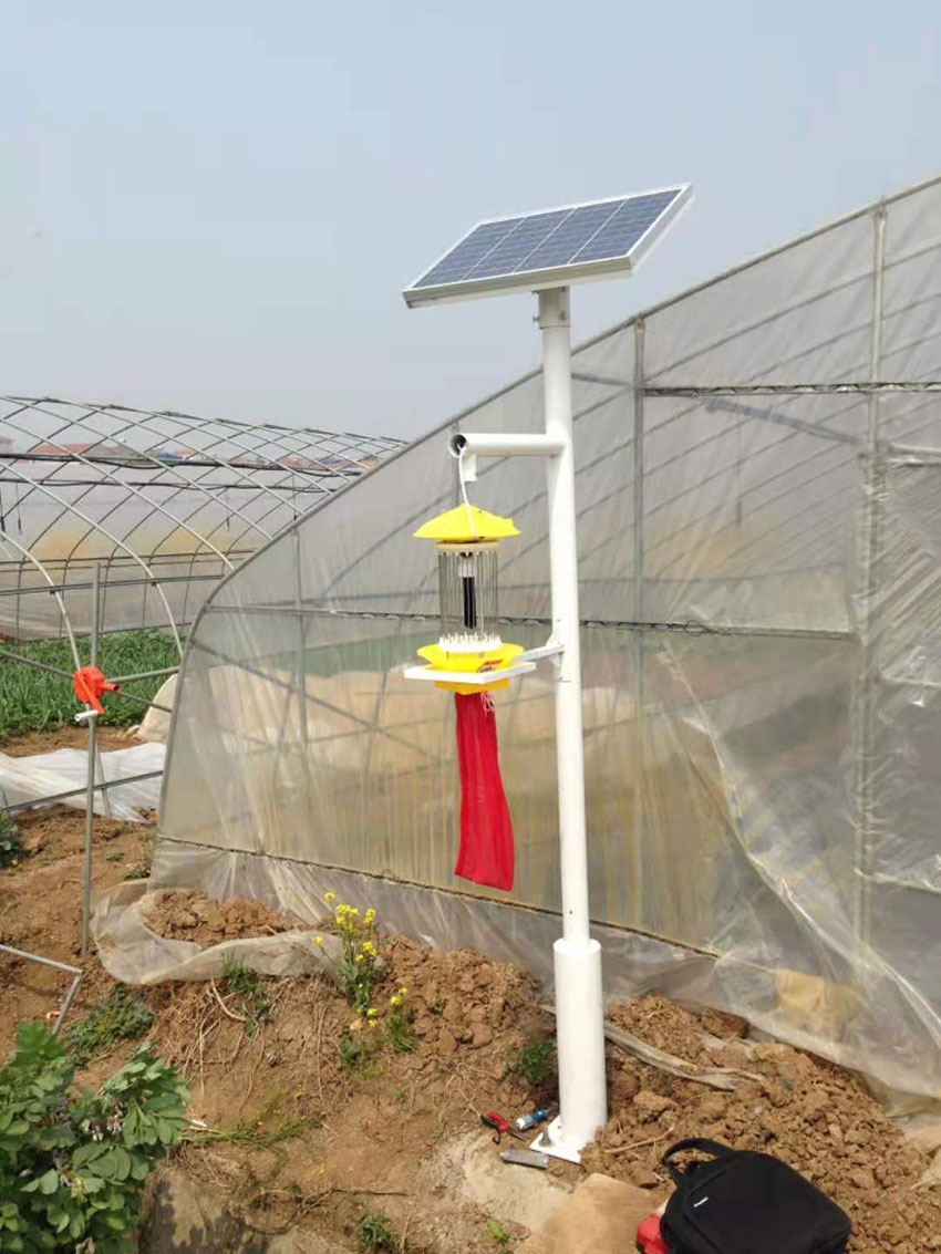 杀虫灯LRMSCD002(路而美光电)