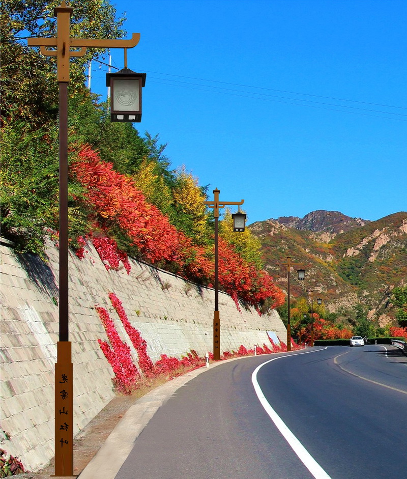 庭院灯LRMTYD020（路而美光电）